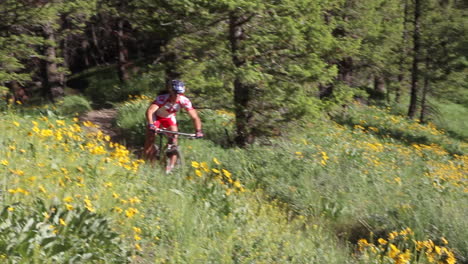 A-man-rides-a-mountain-bike-fast-along-a-mountainside-with-wildflowers