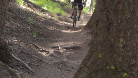 A-mountain-biker-pedals-through-a-forested-area-at-high-speed-2