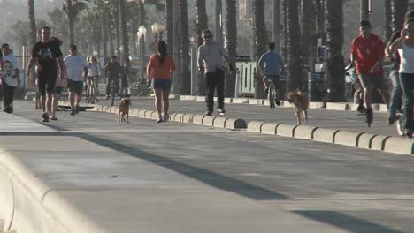 Fußgänger-Trainieren-In-Der-Nähe-Von-Santa-Monica-Kalifornien-Ca