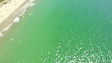 Eine-Antenne-über-Einem-Kalifornischen-Strand-Mit-Einem-Weißen-Hai,-Der-Vor-Der-Küste-Schwimmt