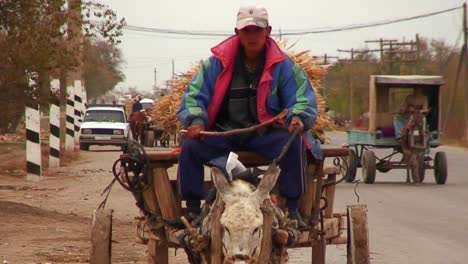 A-donkey-cart-travels-on-a-road-in-Kazakhstan-or-Uzbekistan