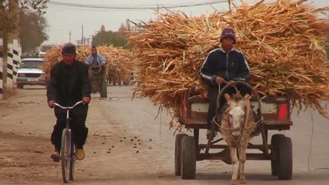A-donkey-cart-travels-on-a-road-in-Kazakhstan-or-Uzbekistan-1