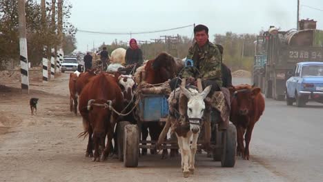 An-oxcart-travels-on-a-road-in-Kazakhstan-or-Uzbekistan