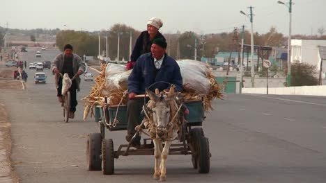 An-donkey-cart-travels-on-a-busy-highway-in-Kazakhstan-or-Uzbekistan-1