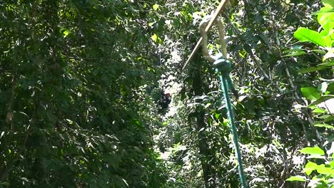 Ein-Mann-Seilrutscht-Durch-Eine-Dschungelschlucht-In-Costa-Rica