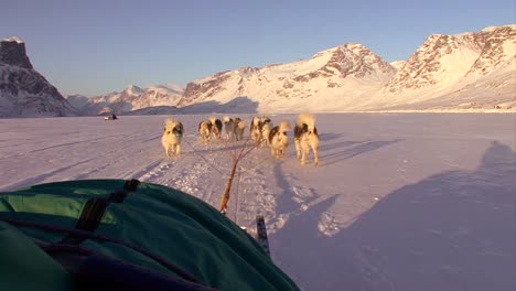 A-POV-shot-from-a-dogsled-heading-across-the-Arctic-tundra