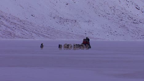 Un-Esquimal-Trineo-Tirado-Por-Perros-Cruza-La-Tundra-Helada-En-La-Distancia-1