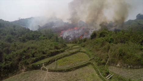 An-excellent-aerial-over-a-jungle-scene-with-a-wildfire-burning