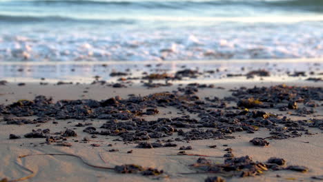 Tar-And-Oil-Collect-On-The-Beach-After-The-Massive-Beach-Cleanup-Effort-Following-The-Refugio-Oil-Spill