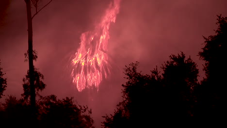 A-Palm-Tree-Bursts-Into-Flames-At-Night-During-The-Holiday-Fire-In-Goleta-California