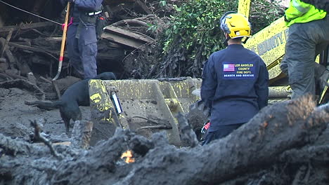 Search-And-Rescue-Crew-With-Cadaver-Dog-Inspect-Damage-From-The-Mudslides-In-Montecito-California-Following-The-Thomas-Fire-Disaster-2