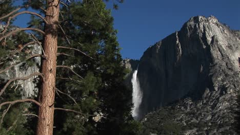 A-Spectacular-View-Of-A-Mountain-Waterfall-In-The-Distance-And-A-Pine-Tree-In-The-Foreground