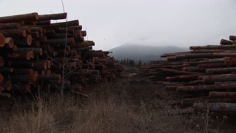 Long-Rows-Of-Neatly-Stacked-Lumber-Leads-The-Eye-To-A-Mistcovered-Mountain-In-The-Distance