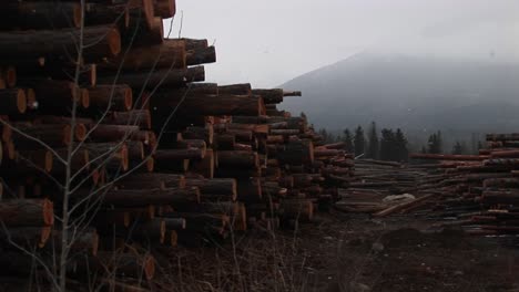 Snow-Falls-Lightly-And-Recently-Cut-And-Stacked-Lumber-Harvested-From-The-Nearby-Mountain