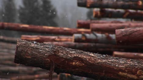 Light-Snow-Falls-On-A-Stack-Of-Cut-Logs
