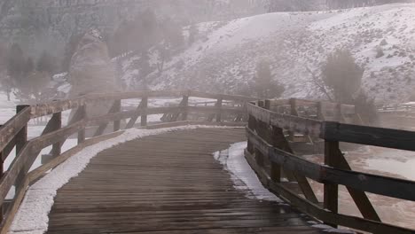 Steam-Rises-From-The-Hot-Springs-Area-In-Yellowstone-National-Park