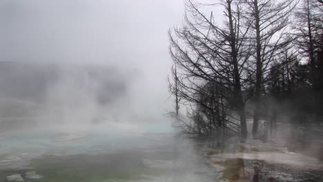Mediumshot-Of-Steam-Rising-From-A-Thermalpool-In-Yellowstone-National-Park-Wyoming