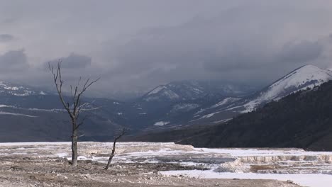 A-Lone-Tree-Adds-Interest-To-This-Otherwise-Stark-Winter-Landscape