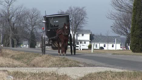 An-Amish-Carriage-Shares-The-Country-Roads-With-Automobiles