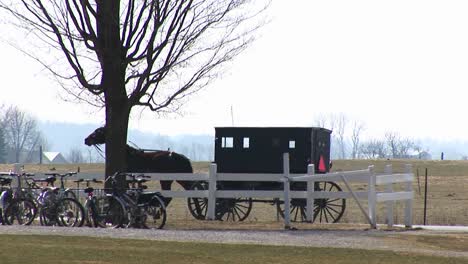 An-Amish-Horse-And-Buggy-Trot-By-A-Rural-Property-With-Bicycles-Parked-Under-A-Tree