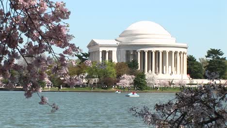 Das-Jefferson-Memorial-In-Washington,-D.C.-Wird-Von-Kirschblütenreichen-Zweigen-Umrahmt