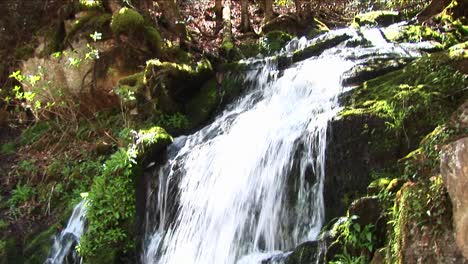 Lush-Vegetation-Surrounds-A-Cascading-Waterfall