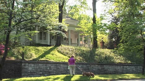 A-Pastelcolored-House-On-A-Small-Hill-Peeks-Through-The-Trees-Providing-A-Lovely-Backdrop-For-A-Woman-Out-Walking-Her-Dog
