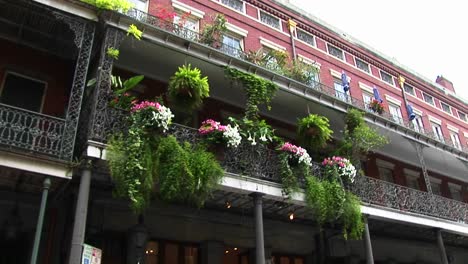 Beautiful-Flowers-Adorn-A-Balcony-In-New-Orleans'S-French-Quarter