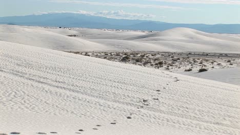 Panup-Of-Tracks-In-A-Sand-Dune-At-White-Sands-National-Monument-In-New-Mexico