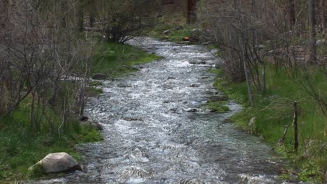 Panup-Of-A-Flowing-Mountain-Stream-1
