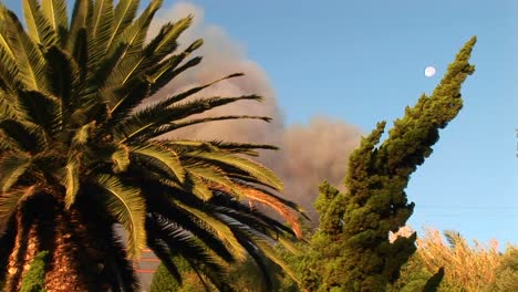 Nahaufnahme-Von-Bäumen-Vor-Einer-Wogenden-Rauchwolke-Von-Einem-Lauffeuer-In-Südkalifornien