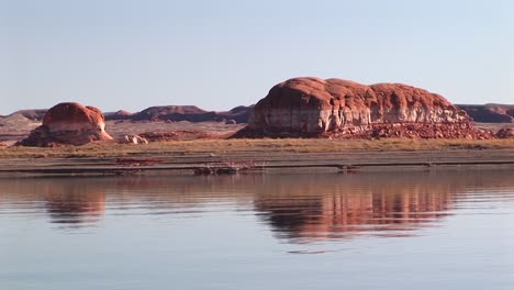 Crab-Right-On-The-Shore-Of-Lake-Powell