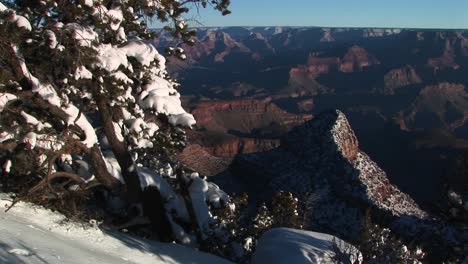 Wide-Background-Of-Grand-Canyon-National-Park-With-Winter-Snow-Covered-Trees-And-Rocks-In-Foreground