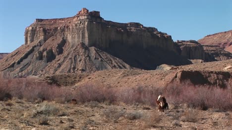 A-Cow-Grazes-At-The-Base-Of-A-Mesa-In-The-Desert-Southwest