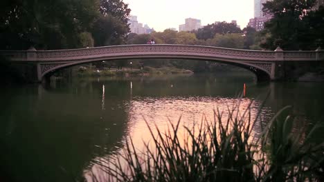 Tilt-up-on-a-lake-and-bridge-in-Central-Park-New-York-City