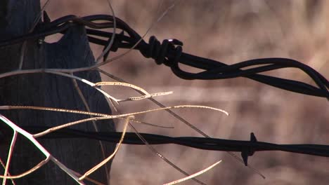 Extremecloseup-of-barbed-wire-attached-to-a-post