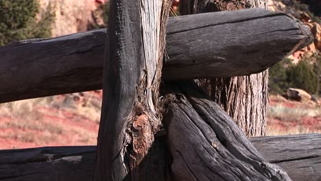 Closeup-of-an-old-gray-log-fence