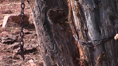 Closeup-of-a-chain-hanging-from-the-wood-beams-of-an-old-Western-corral